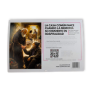 CALENDARIO PARED 2027_2